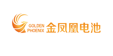 佛山电池